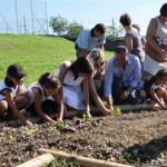 Sustentabilidade na Escola: Dever de Cada Um