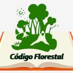 Conheça Mais Sobre o Código Florestal Brasileiro