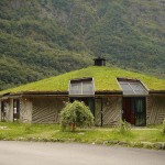 Uso de Telhado Verde na Construção