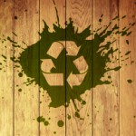 Como Conscientizar Com a Sustentabilidade Ecológica