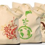 Ecobags – O Que São e Qual a Sua Contribuição Para o Meio Ambiente