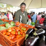 Conheça a feira que troca lixo por alimentos