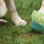 Curta seu amigo sem descuidar do meio ambiente: Não se esqueça de recolher as fezes do seu cachorro!